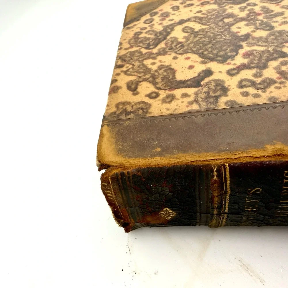 John Lothrop Motley‎ The Rise of the Dutch Republic 1858 3 Vol Half Calf Leather